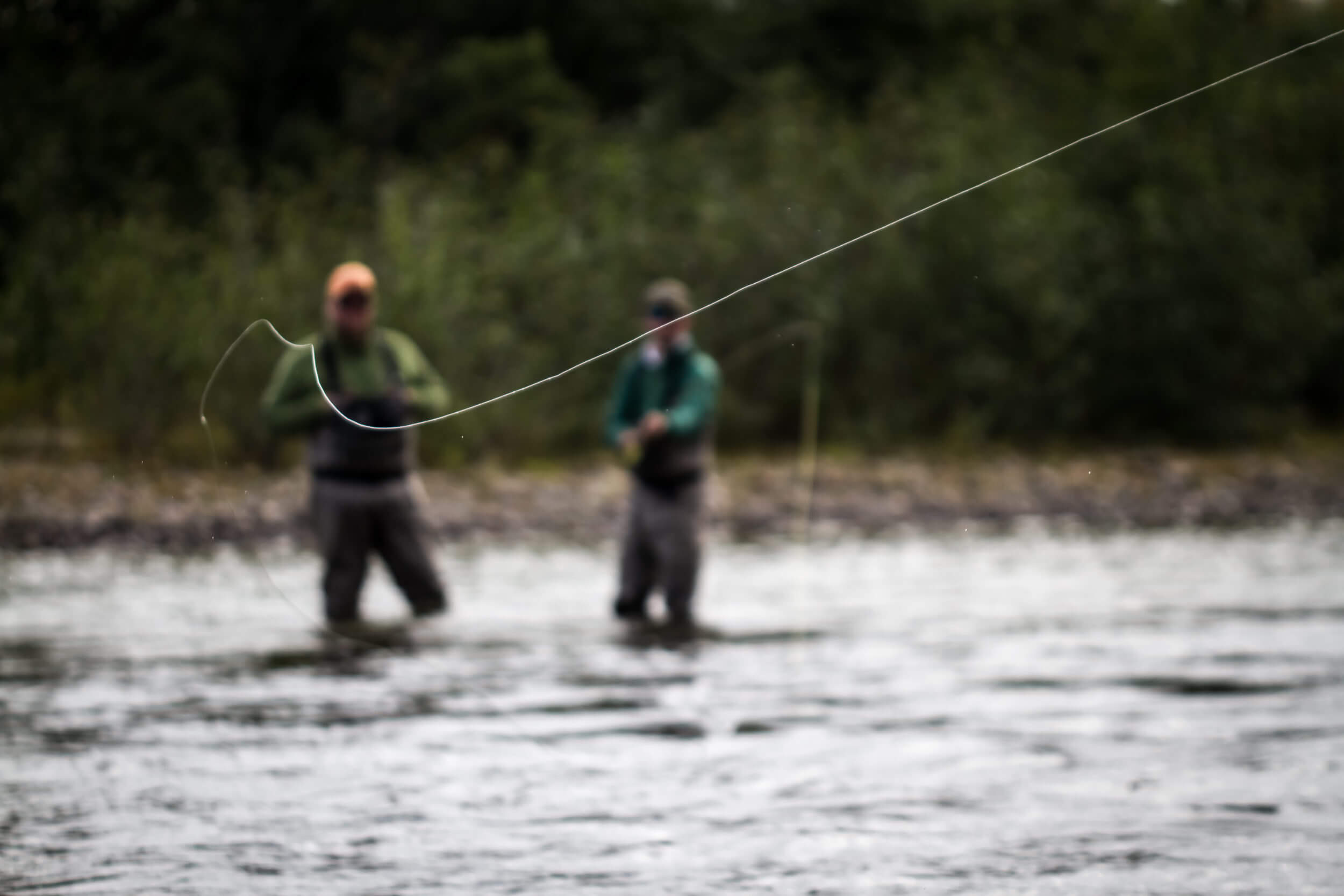 Fly Line Primer – The Ozark Fly Fisher Journal