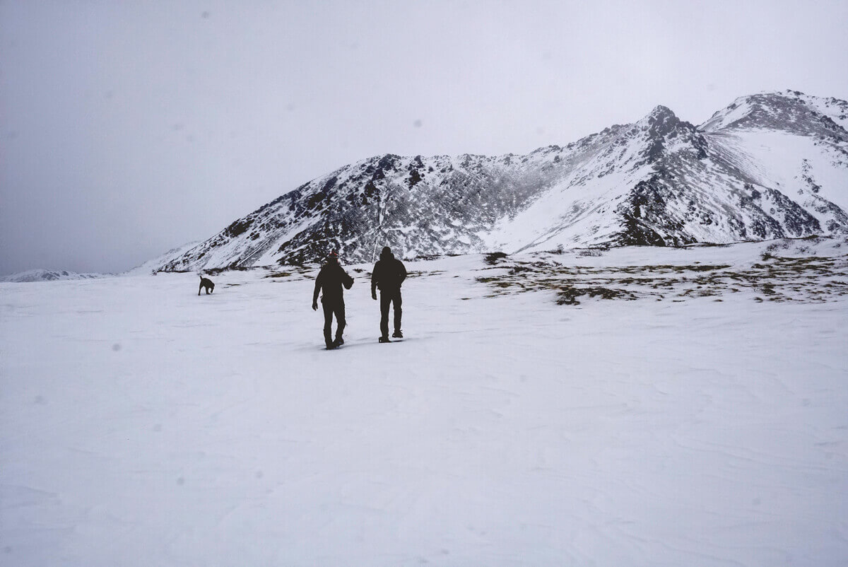 Winter Ptarmigan in Alaska – Nostalgia and Smiles – Strung Sporting Journal