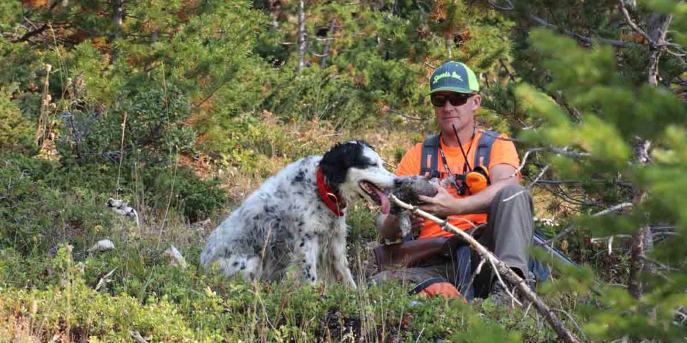 upland hunting magazine - strung magazine upland hunting