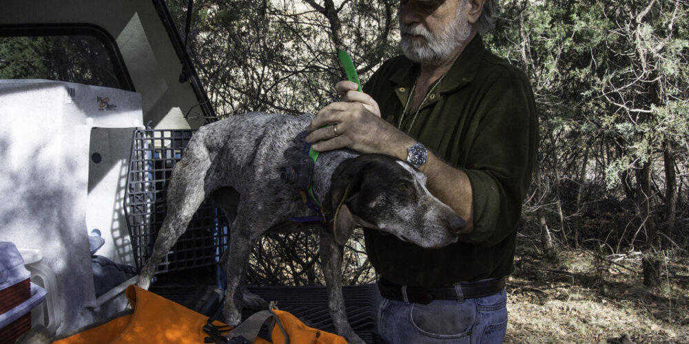 wing shooting with Don Thomas