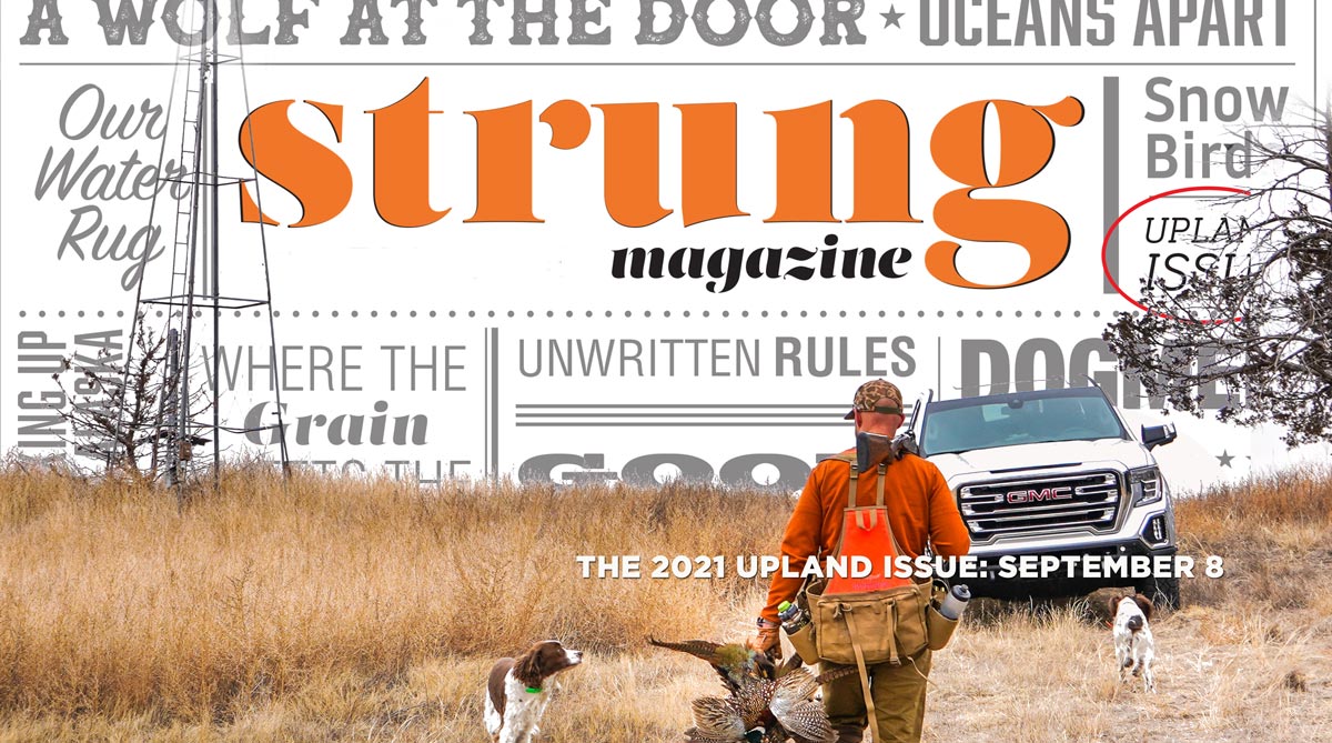 The Upland Issue 2021