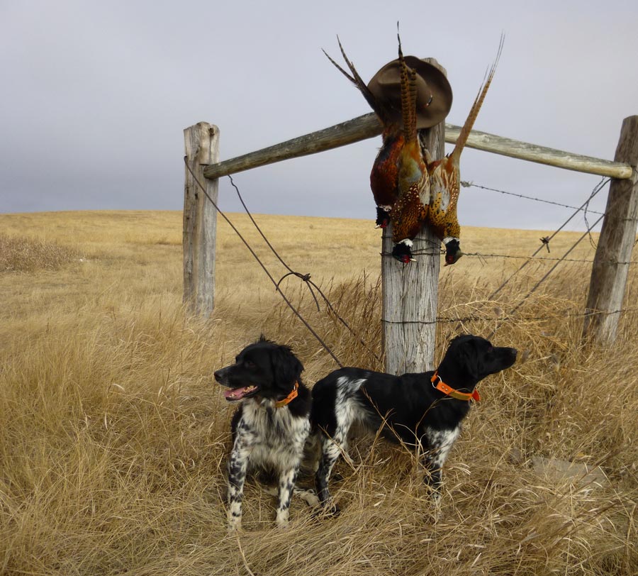 are setters pointers