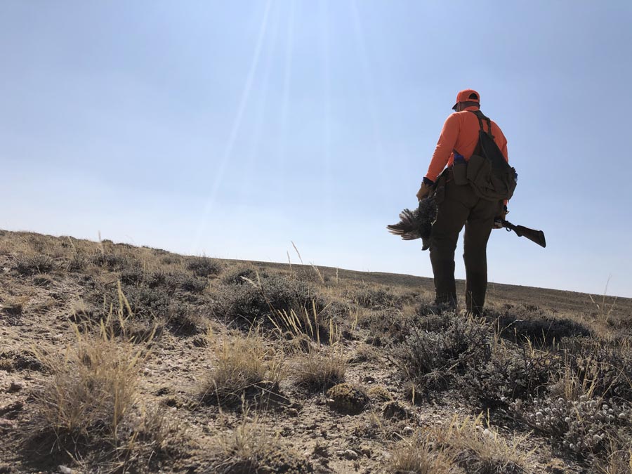 The Sage & Grouse that Connects Us