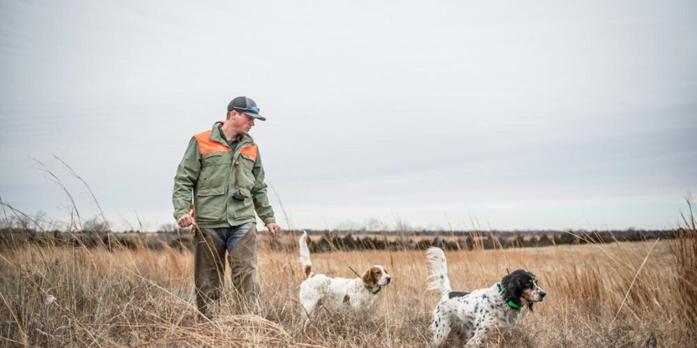 birddog training - midseason correction