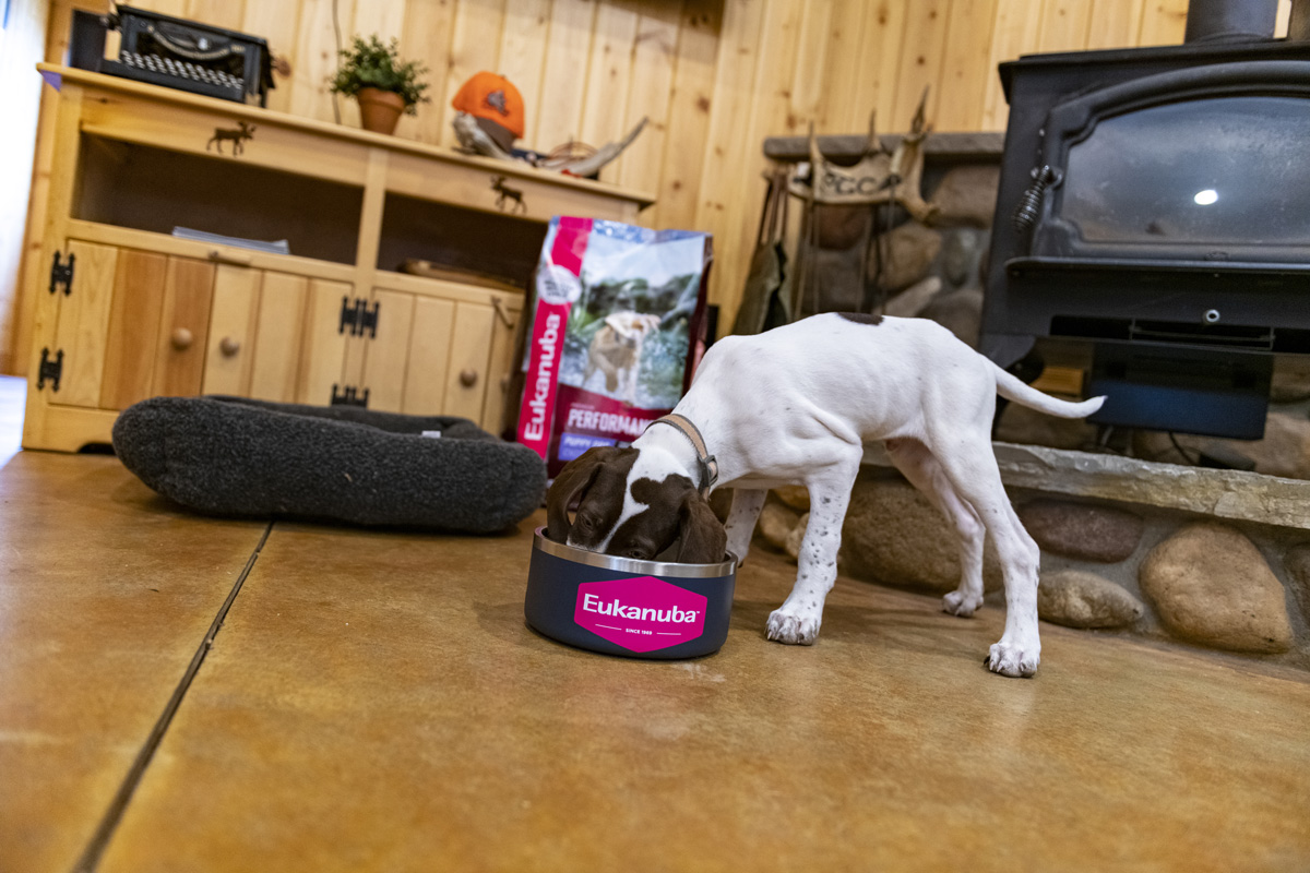 Premium Nutrition for your Active Puppy
