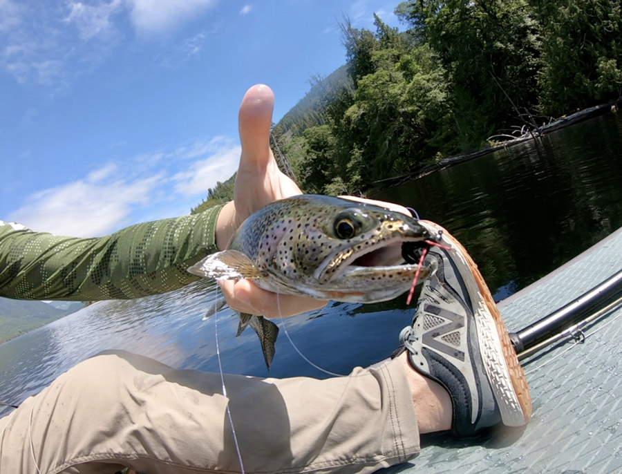 Nootka Wilderness on the Fly