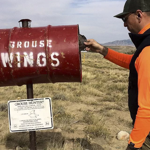 Upland Hunting Conservation – Voluntary Wing Deposits