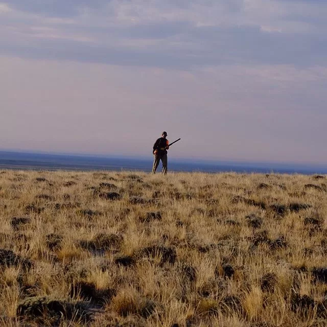 Hunting the Grey Ghost – Sage Grouse Hunting in Wyoming