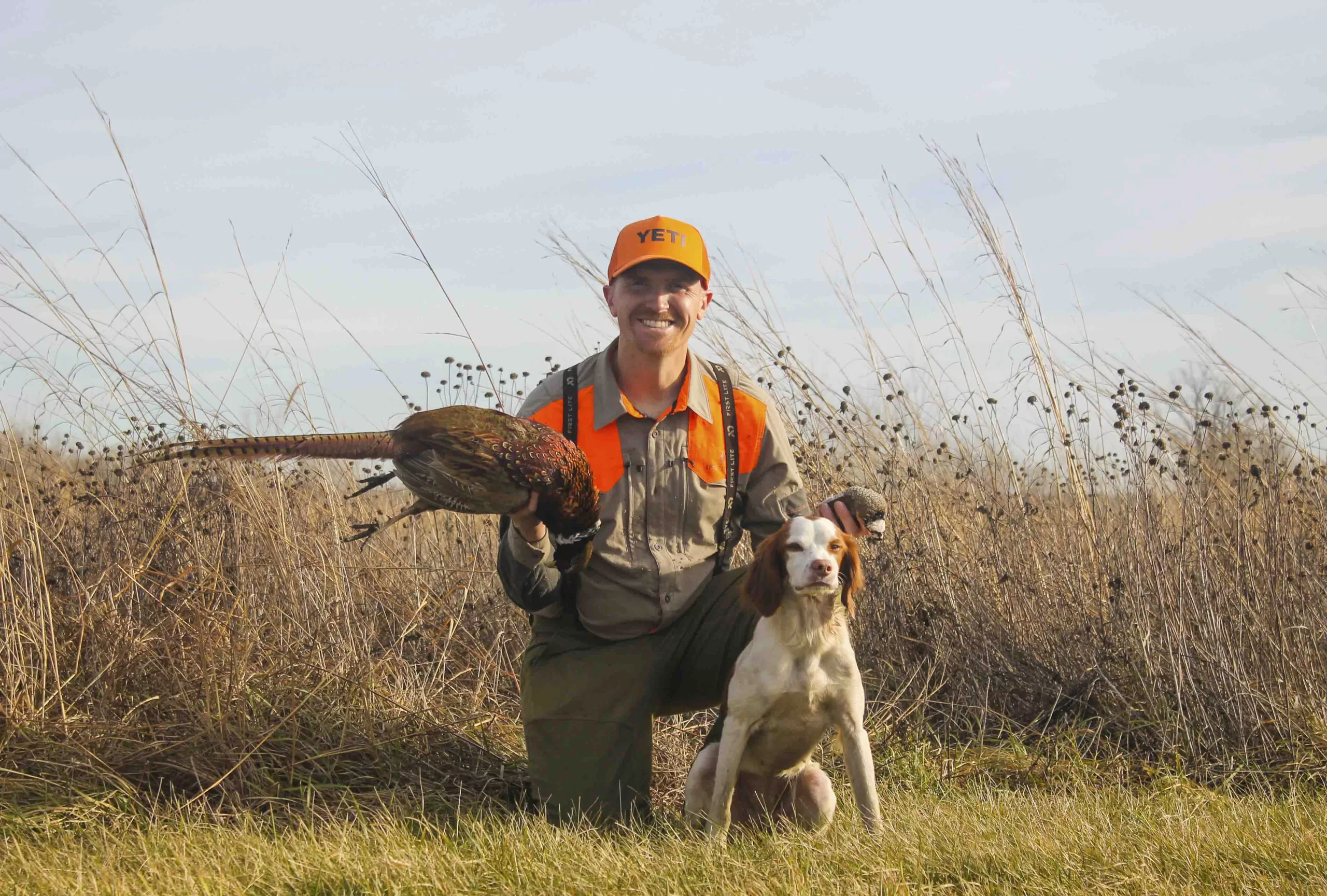 Curiosity Killed the Pheasant – Pheasant Hunting in Indiana