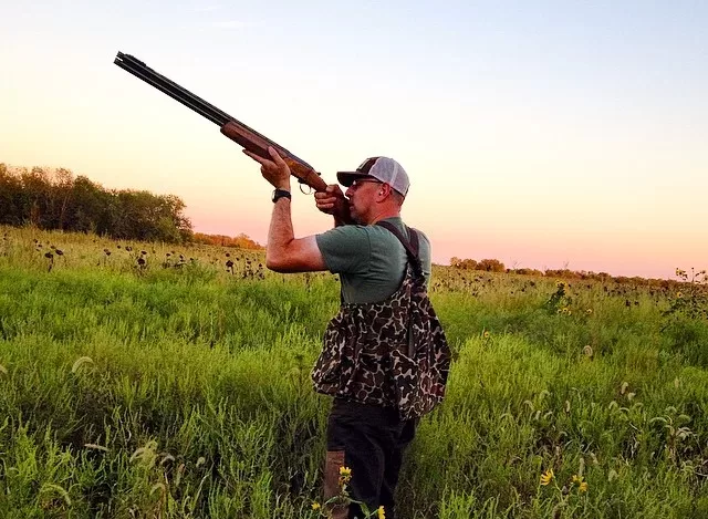 Dove Hunting – Outside-the-Box Tactics to Get More Birds