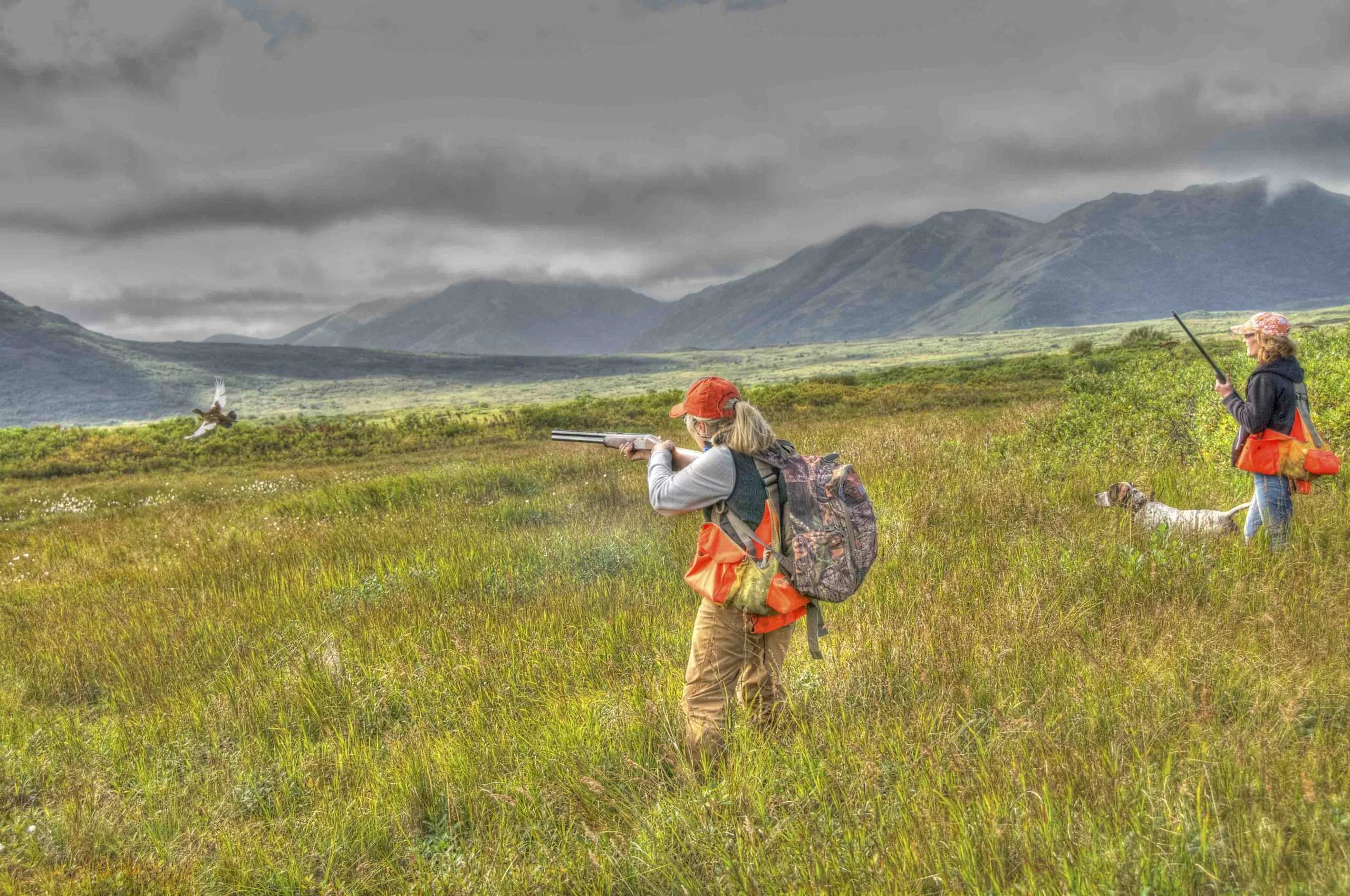 Hunting Ptarmigan in Alaska – Musings, Habitat, and Pointers (Dogs and Tips)