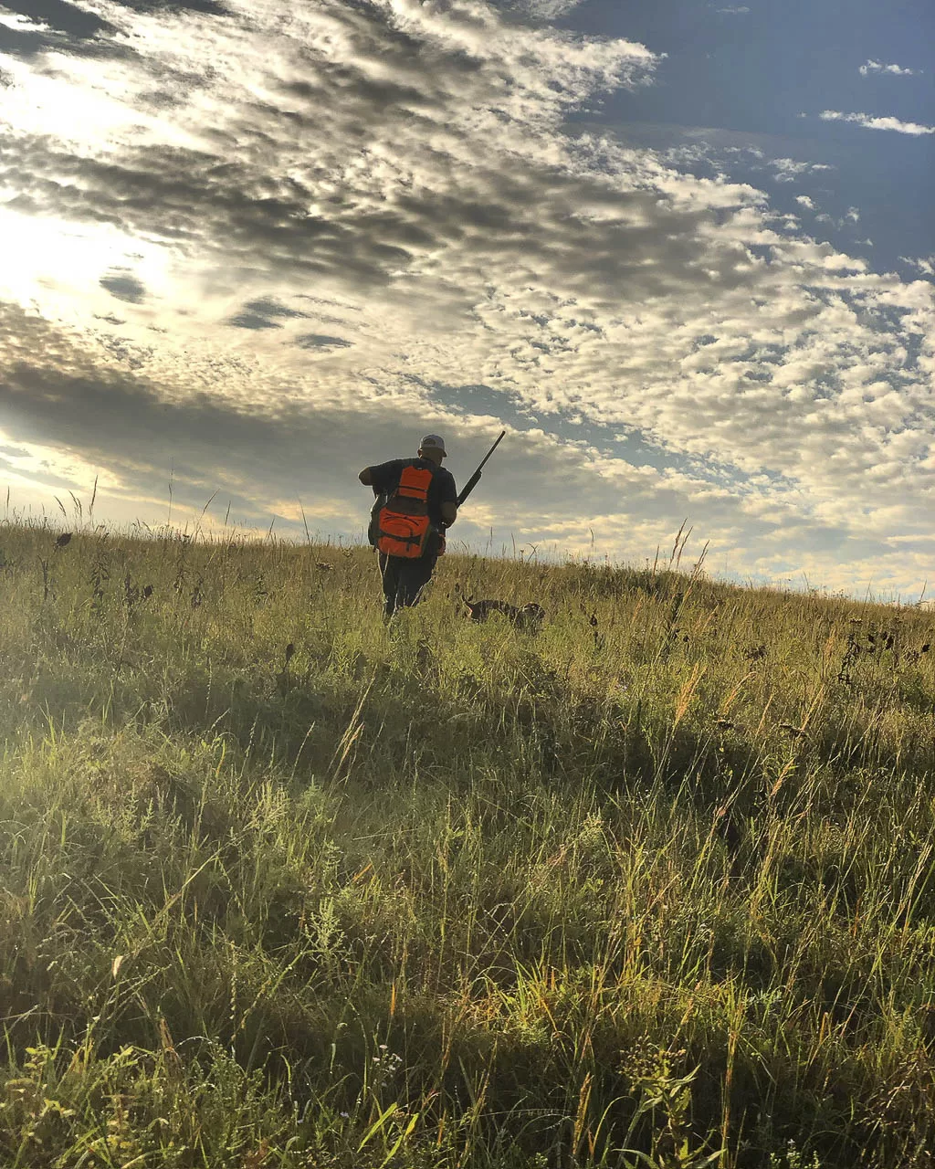 Greater Prairie Chickens – An Expert’s Guide to Hunting The King of the Prairie